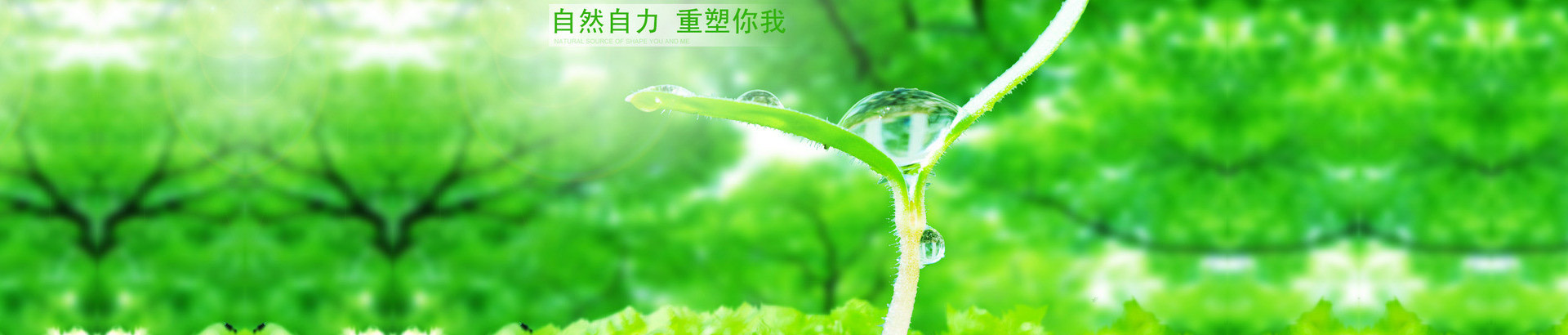 萍鄉(xiāng)市華裕催化劑有限公司